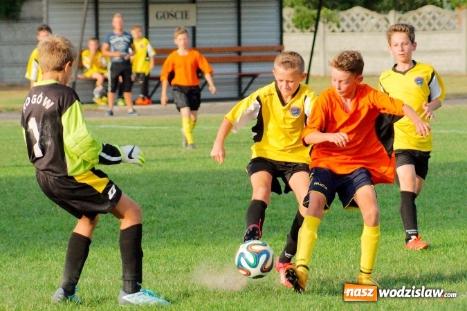 Zdjęcie w galerii na portalu naszwodzislaw.com: Młodziki Rogowa na tarczy w Tworkowie wiadomości z regionu