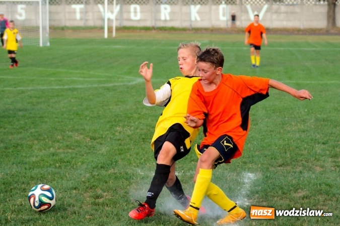 Zdjęcie w galerii na portalu naszwodzislaw.com: Młodziki Rogowa na tarczy w Tworkowie wiadomości z regionu