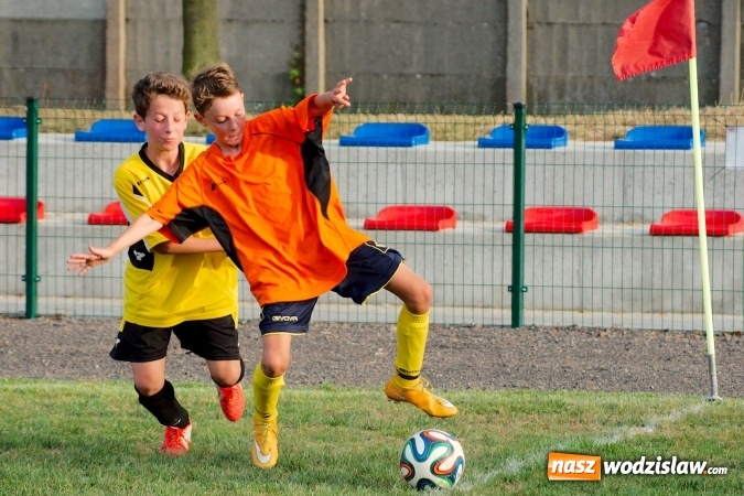 Zdjęcie w galerii na portalu naszwodzislaw.com: Młodziki Rogowa na tarczy w Tworkowie wiadomości z regionu