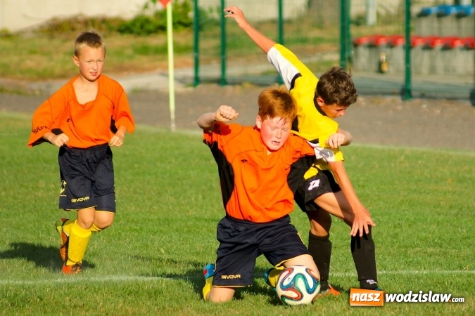 Zdjęcie w galerii na portalu naszwodzislaw.com: Młodziki Rogowa na tarczy w Tworkowie wiadomości z regionu