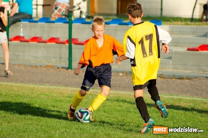 Zdjęcie w galerii na portalu naszwodzislaw.com: Młodziki Rogowa na tarczy w Tworkowie wiadomości z regionu