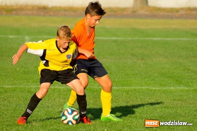 Zdjęcie w galerii na portalu naszwodzislaw.com: Młodziki Rogowa na tarczy w Tworkowie wiadomości z regionu