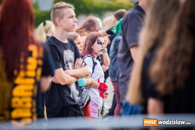 Zdjęcie w galerii na portalu naszwodzislaw.com: 13. edycja festiwalu Magia Rocka już za nami wiadomości z regionu