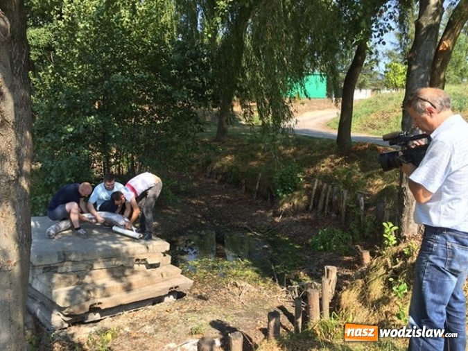 Zdjęcie w galerii na portalu naszwodzislaw.com: W Zawadzie znaleziono cios mamuta sprzed 12 tys. lat! Czy mamy do czynienia z największym odkryciem archeologicznym w Wodzisławiu? wiadomości z regionu