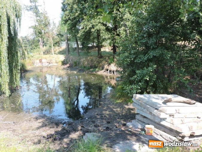 Zdjęcie w galerii na portalu naszwodzislaw.com: W Zawadzie znaleziono cios mamuta sprzed 12 tys. lat! Czy mamy do czynienia z największym odkryciem archeologicznym w Wodzisławiu? wiadomości z regionu