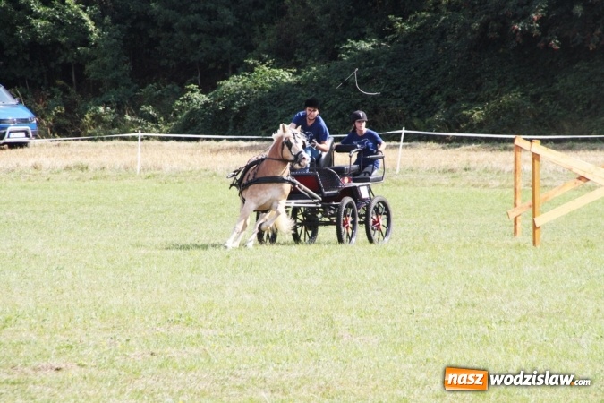Zdjęcie w galerii na portalu naszwodzislaw.com: W Gorzycach odbywają się drugie Amatorskie Zawody w Powożeniu Zaprzęgami Konnymi wiadomości z regionu