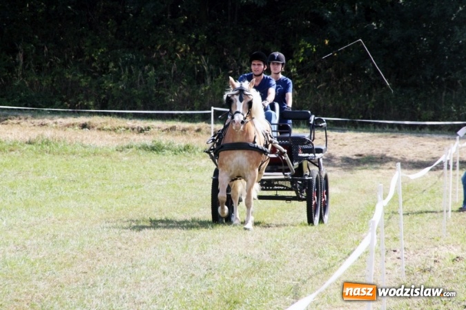 Zdjęcie w galerii na portalu naszwodzislaw.com: W Gorzycach odbywają się drugie Amatorskie Zawody w Powożeniu Zaprzęgami Konnymi wiadomości z regionu