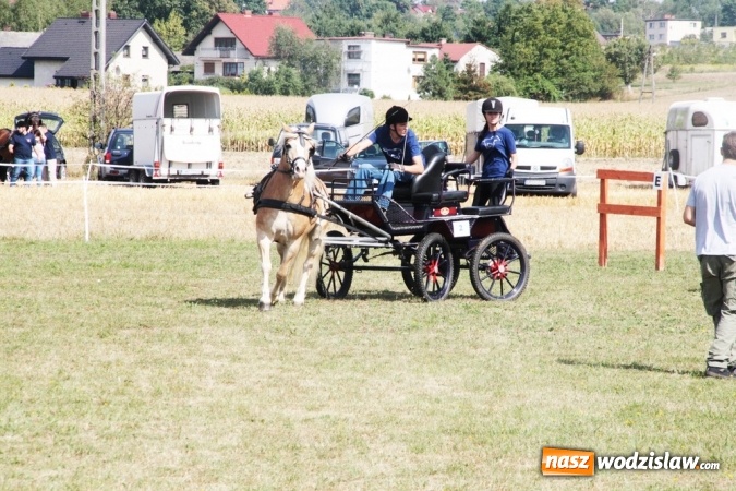 Zdjęcie w galerii na portalu naszwodzislaw.com: W Gorzycach odbywają się drugie Amatorskie Zawody w Powożeniu Zaprzęgami Konnymi wiadomości z regionu