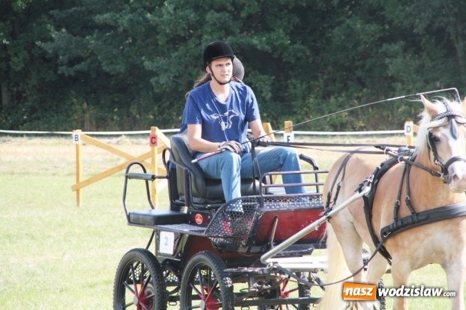 Zdjęcie w galerii na portalu naszwodzislaw.com: W Gorzycach odbywają się drugie Amatorskie Zawody w Powożeniu Zaprzęgami Konnymi wiadomości z regionu