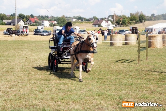 Zdjęcie w galerii na portalu naszwodzislaw.com: W Gorzycach odbywają się drugie Amatorskie Zawody w Powożeniu Zaprzęgami Konnymi wiadomości z regionu