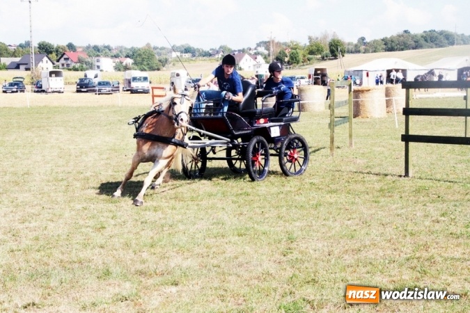 Zdjęcie w galerii na portalu naszwodzislaw.com: W Gorzycach odbywają się drugie Amatorskie Zawody w Powożeniu Zaprzęgami Konnymi wiadomości z regionu