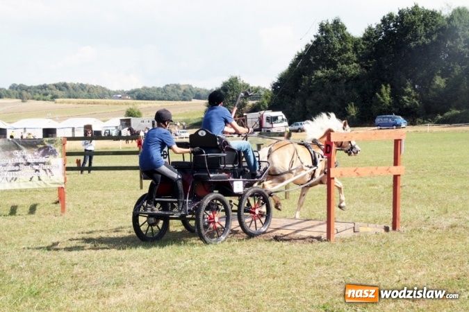 Zdjęcie w galerii na portalu naszwodzislaw.com: W Gorzycach odbywają się drugie Amatorskie Zawody w Powożeniu Zaprzęgami Konnymi wiadomości z regionu