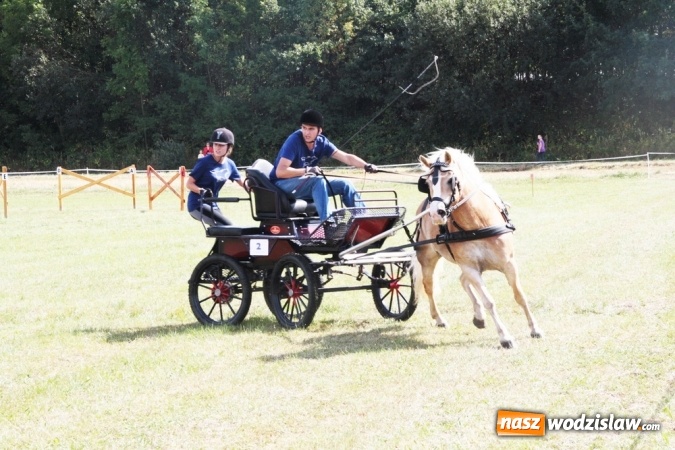 Zdjęcie w galerii na portalu naszwodzislaw.com: W Gorzycach odbywają się drugie Amatorskie Zawody w Powożeniu Zaprzęgami Konnymi wiadomości z regionu