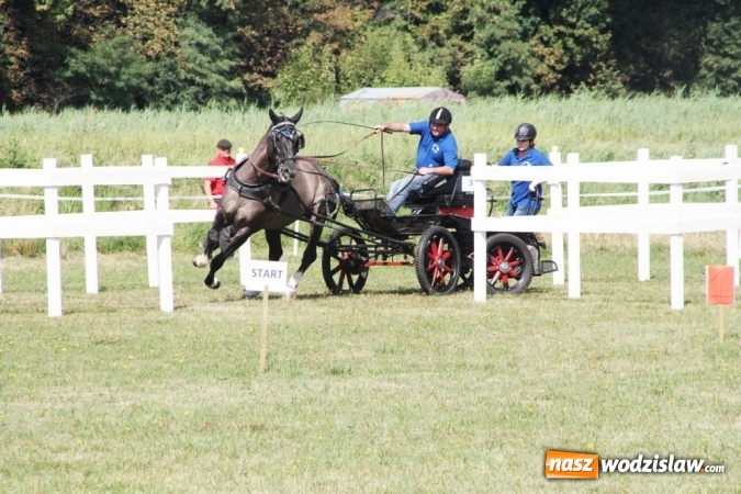 Zdjęcie w galerii na portalu naszwodzislaw.com: W Gorzycach odbywają się drugie Amatorskie Zawody w Powożeniu Zaprzęgami Konnymi wiadomości z regionu