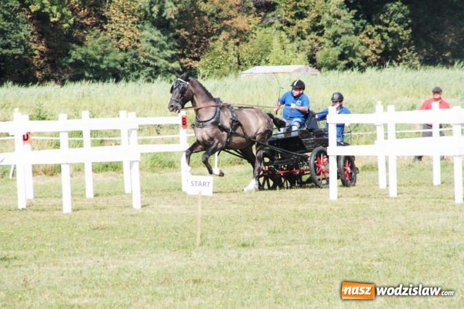 Zdjęcie w galerii na portalu naszwodzislaw.com: W Gorzycach odbywają się drugie Amatorskie Zawody w Powożeniu Zaprzęgami Konnymi wiadomości z regionu