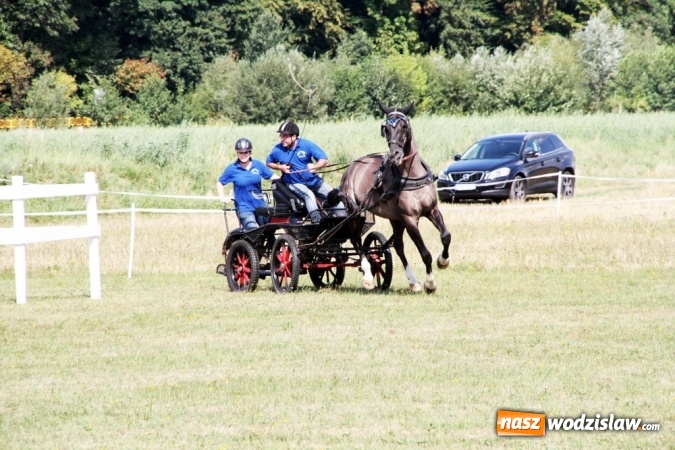 Zdjęcie w galerii na portalu naszwodzislaw.com: W Gorzycach odbywają się drugie Amatorskie Zawody w Powożeniu Zaprzęgami Konnymi wiadomości z regionu