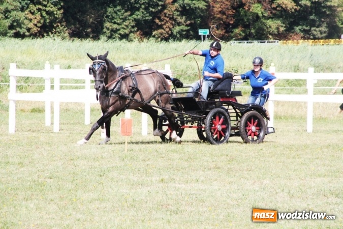 Zdjęcie w galerii na portalu naszwodzislaw.com: W Gorzycach odbywają się drugie Amatorskie Zawody w Powożeniu Zaprzęgami Konnymi wiadomości z regionu