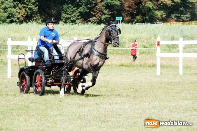 Zdjęcie w galerii na portalu naszwodzislaw.com: W Gorzycach odbywają się drugie Amatorskie Zawody w Powożeniu Zaprzęgami Konnymi wiadomości z regionu