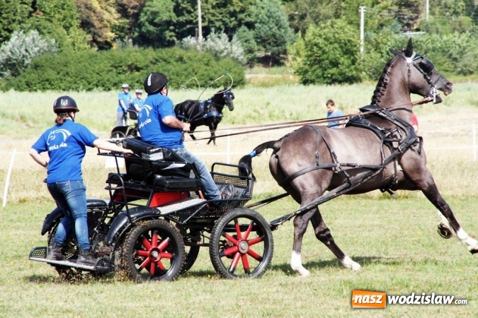 Zdjęcie w galerii na portalu naszwodzislaw.com: W Gorzycach odbywają się drugie Amatorskie Zawody w Powożeniu Zaprzęgami Konnymi wiadomości z regionu