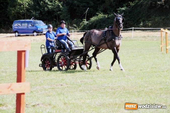 Zdjęcie w galerii na portalu naszwodzislaw.com: W Gorzycach odbywają się drugie Amatorskie Zawody w Powożeniu Zaprzęgami Konnymi wiadomości z regionu