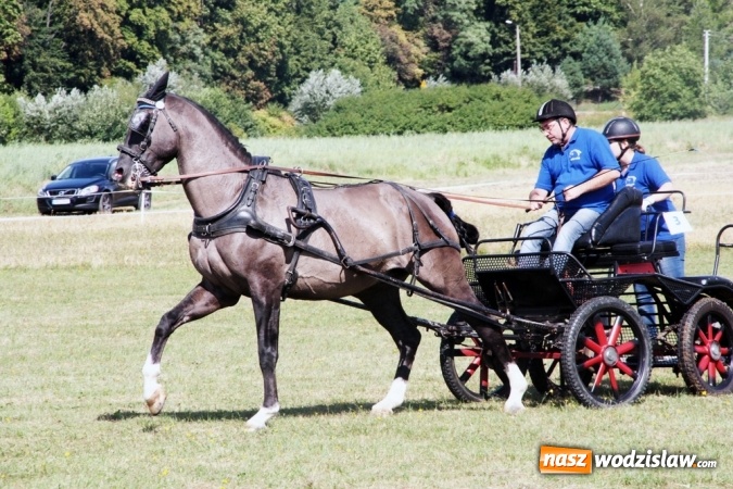 Zdjęcie w galerii na portalu naszwodzislaw.com: W Gorzycach odbywają się drugie Amatorskie Zawody w Powożeniu Zaprzęgami Konnymi wiadomości z regionu
