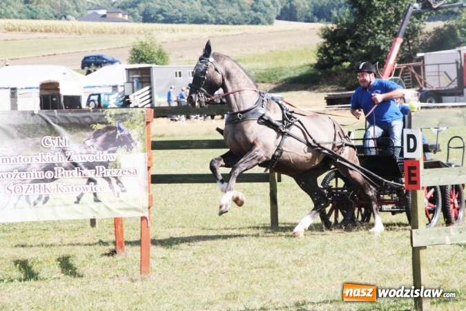Zdjęcie w galerii na portalu naszwodzislaw.com: W Gorzycach odbywają się drugie Amatorskie Zawody w Powożeniu Zaprzęgami Konnymi wiadomości z regionu