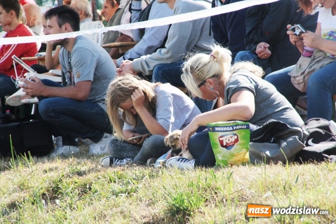 Zdjęcie w galerii na portalu naszwodzislaw.com: W Gorzycach odbywają się drugie Amatorskie Zawody w Powożeniu Zaprzęgami Konnymi wiadomości z regionu