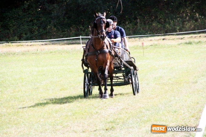 Zdjęcie w galerii na portalu naszwodzislaw.com: W Gorzycach odbywają się drugie Amatorskie Zawody w Powożeniu Zaprzęgami Konnymi wiadomości z regionu