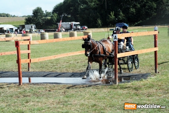 Zdjęcie w galerii na portalu naszwodzislaw.com: W Gorzycach odbywają się drugie Amatorskie Zawody w Powożeniu Zaprzęgami Konnymi wiadomości z regionu