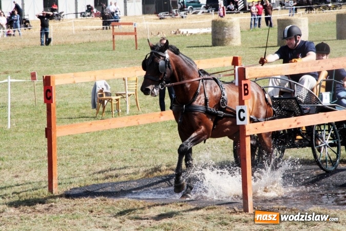 Zdjęcie w galerii na portalu naszwodzislaw.com: W Gorzycach odbywają się drugie Amatorskie Zawody w Powożeniu Zaprzęgami Konnymi wiadomości z regionu