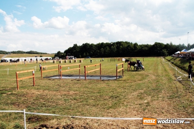 Zdjęcie w galerii na portalu naszwodzislaw.com: W Gorzycach odbywają się drugie Amatorskie Zawody w Powożeniu Zaprzęgami Konnymi wiadomości z regionu