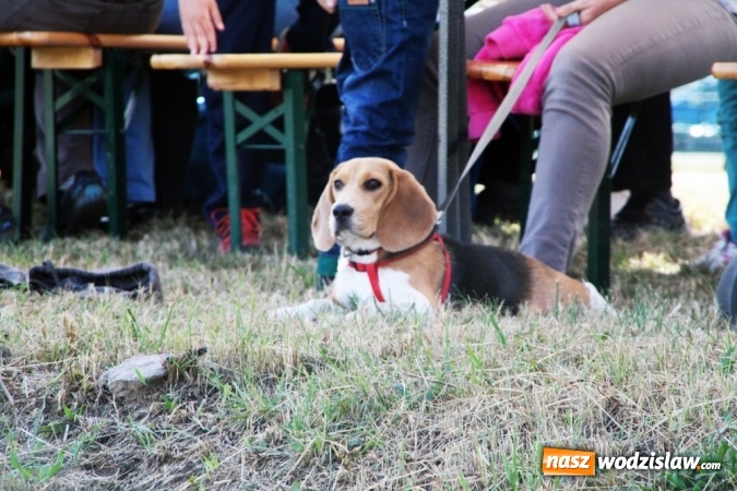 Zdjęcie w galerii na portalu naszwodzislaw.com: W Gorzycach odbywają się drugie Amatorskie Zawody w Powożeniu Zaprzęgami Konnymi wiadomości z regionu