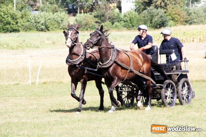 Zdjęcie w galerii na portalu naszwodzislaw.com: W Gorzycach odbywają się drugie Amatorskie Zawody w Powożeniu Zaprzęgami Konnymi wiadomości z regionu