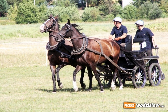 Zdjęcie w galerii na portalu naszwodzislaw.com: W Gorzycach odbywają się drugie Amatorskie Zawody w Powożeniu Zaprzęgami Konnymi wiadomości z regionu