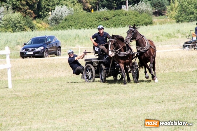 Zdjęcie w galerii na portalu naszwodzislaw.com: W Gorzycach odbywają się drugie Amatorskie Zawody w Powożeniu Zaprzęgami Konnymi wiadomości z regionu