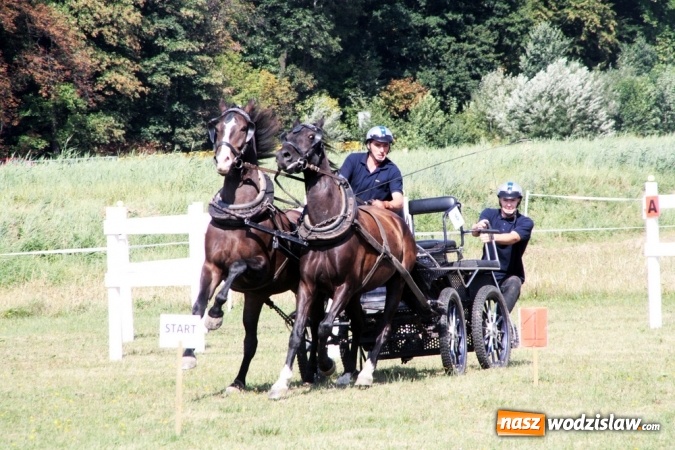 Zdjęcie w galerii na portalu naszwodzislaw.com: W Gorzycach odbywają się drugie Amatorskie Zawody w Powożeniu Zaprzęgami Konnymi wiadomości z regionu