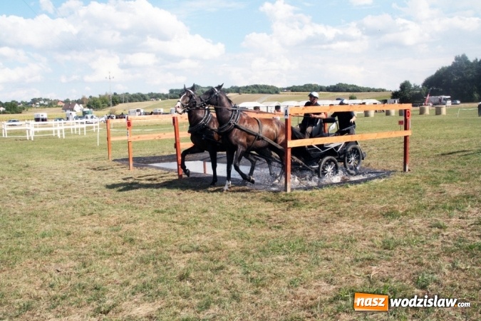 Zdjęcie w galerii na portalu naszwodzislaw.com: W Gorzycach odbywają się drugie Amatorskie Zawody w Powożeniu Zaprzęgami Konnymi wiadomości z regionu