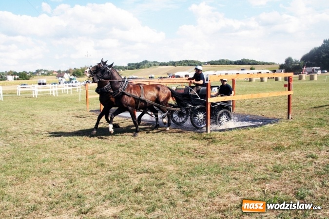 Zdjęcie w galerii na portalu naszwodzislaw.com: W Gorzycach odbywają się drugie Amatorskie Zawody w Powożeniu Zaprzęgami Konnymi wiadomości z regionu