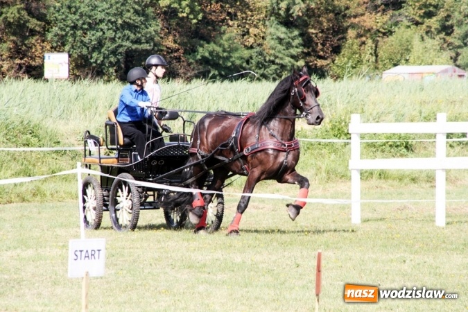 Zdjęcie w galerii na portalu naszwodzislaw.com: W Gorzycach odbywają się drugie Amatorskie Zawody w Powożeniu Zaprzęgami Konnymi wiadomości z regionu