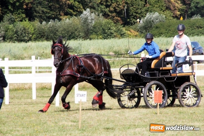 Zdjęcie w galerii na portalu naszwodzislaw.com: W Gorzycach odbywają się drugie Amatorskie Zawody w Powożeniu Zaprzęgami Konnymi wiadomości z regionu
