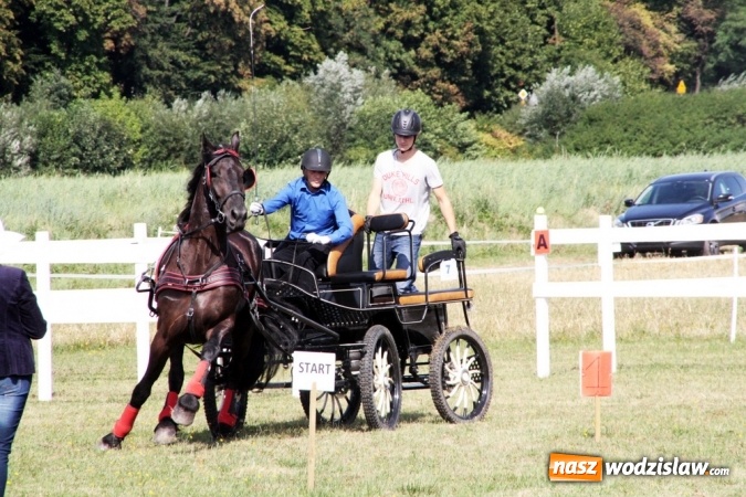 Zdjęcie w galerii na portalu naszwodzislaw.com: W Gorzycach odbywają się drugie Amatorskie Zawody w Powożeniu Zaprzęgami Konnymi wiadomości z regionu