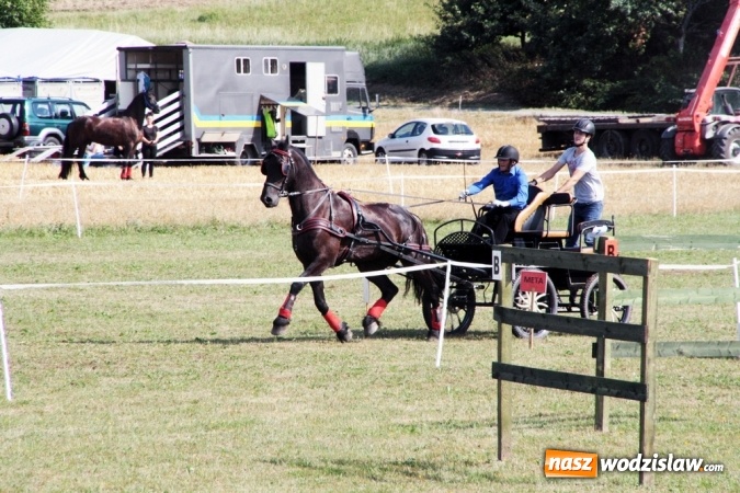 Zdjęcie w galerii na portalu naszwodzislaw.com: W Gorzycach odbywają się drugie Amatorskie Zawody w Powożeniu Zaprzęgami Konnymi wiadomości z regionu