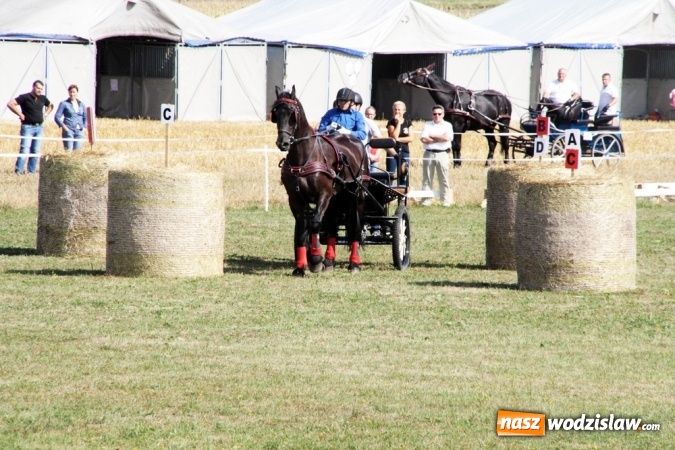 Zdjęcie w galerii na portalu naszwodzislaw.com: W Gorzycach odbywają się drugie Amatorskie Zawody w Powożeniu Zaprzęgami Konnymi wiadomości z regionu