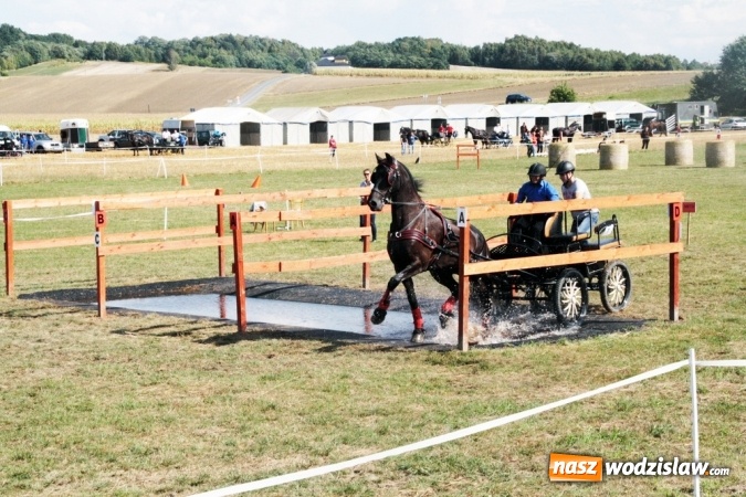 Zdjęcie w galerii na portalu naszwodzislaw.com: W Gorzycach odbywają się drugie Amatorskie Zawody w Powożeniu Zaprzęgami Konnymi wiadomości z regionu
