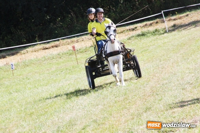 Zdjęcie w galerii na portalu naszwodzislaw.com: W Gorzycach odbywają się drugie Amatorskie Zawody w Powożeniu Zaprzęgami Konnymi wiadomości z regionu