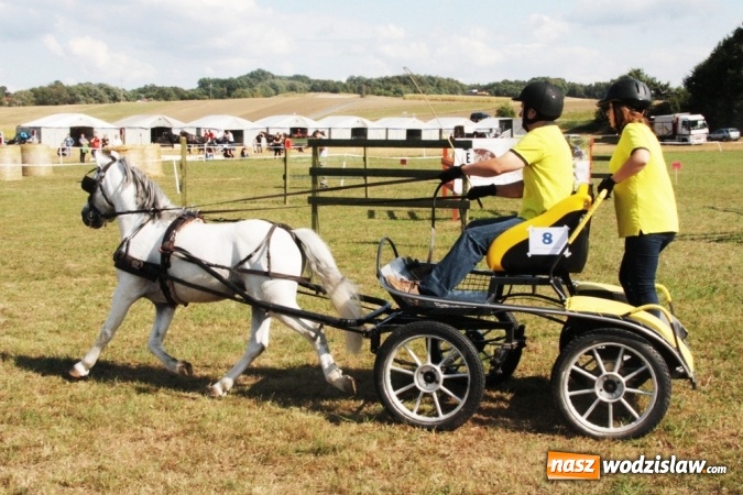 Zdjęcie w galerii na portalu naszwodzislaw.com: W Gorzycach odbywają się drugie Amatorskie Zawody w Powożeniu Zaprzęgami Konnymi wiadomości z regionu
