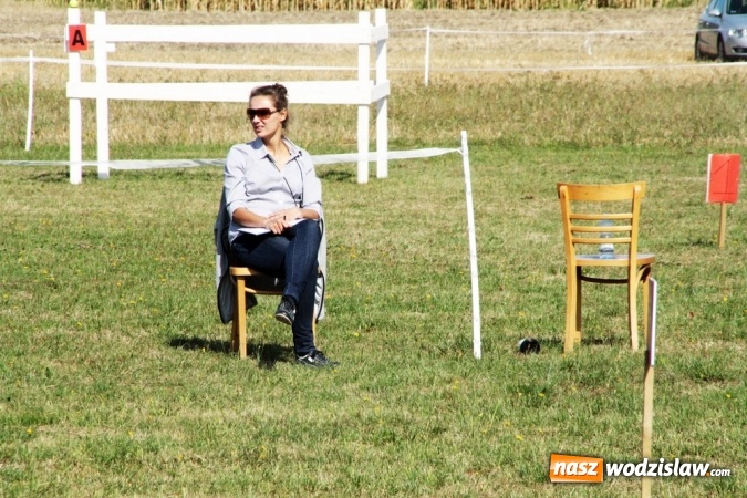 Zdjęcie w galerii na portalu naszwodzislaw.com: W Gorzycach odbywają się drugie Amatorskie Zawody w Powożeniu Zaprzęgami Konnymi wiadomości z regionu