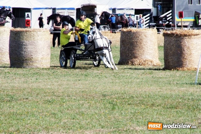 Zdjęcie w galerii na portalu naszwodzislaw.com: W Gorzycach odbywają się drugie Amatorskie Zawody w Powożeniu Zaprzęgami Konnymi wiadomości z regionu