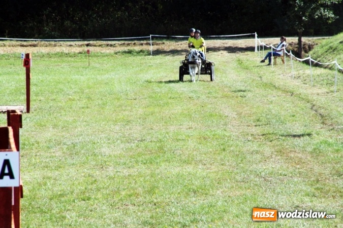 Zdjęcie w galerii na portalu naszwodzislaw.com: W Gorzycach odbywają się drugie Amatorskie Zawody w Powożeniu Zaprzęgami Konnymi wiadomości z regionu