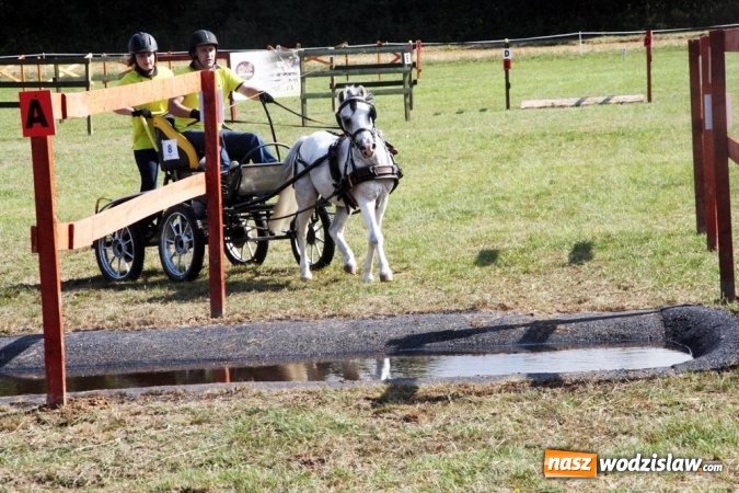 Zdjęcie w galerii na portalu naszwodzislaw.com: W Gorzycach odbywają się drugie Amatorskie Zawody w Powożeniu Zaprzęgami Konnymi wiadomości z regionu